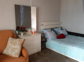Apartment na Karamzina 2/8